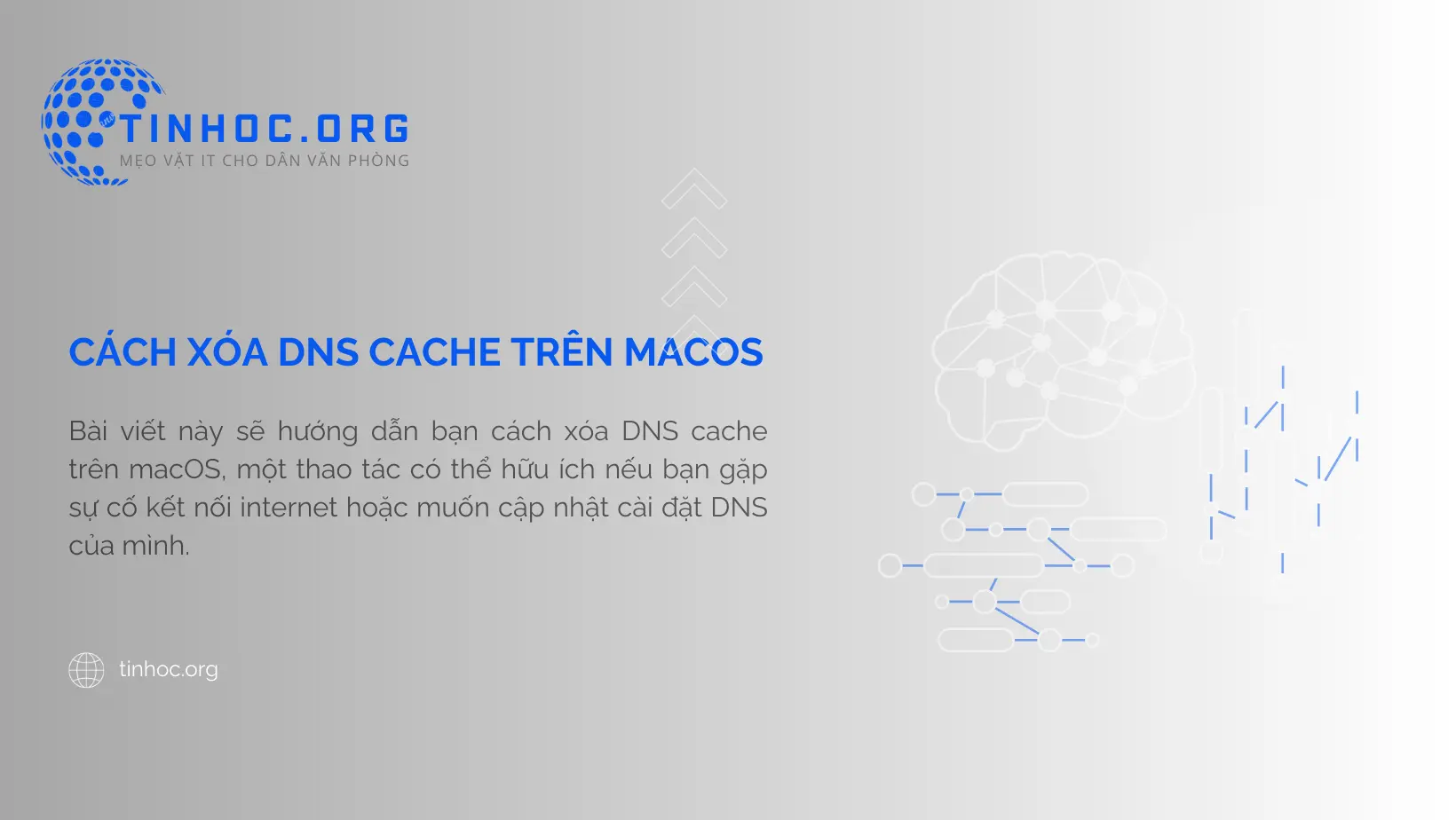 Cách xóa DNS cache trên macOS