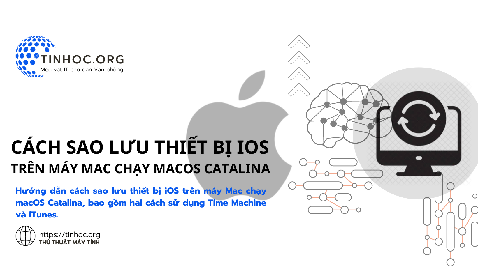 Hướng dẫn cách sao lưu thiết bị iOS trên máy Mac chạy macOS Catalina, bao gồm hai cách sử dụng Time Machine và iTunes.