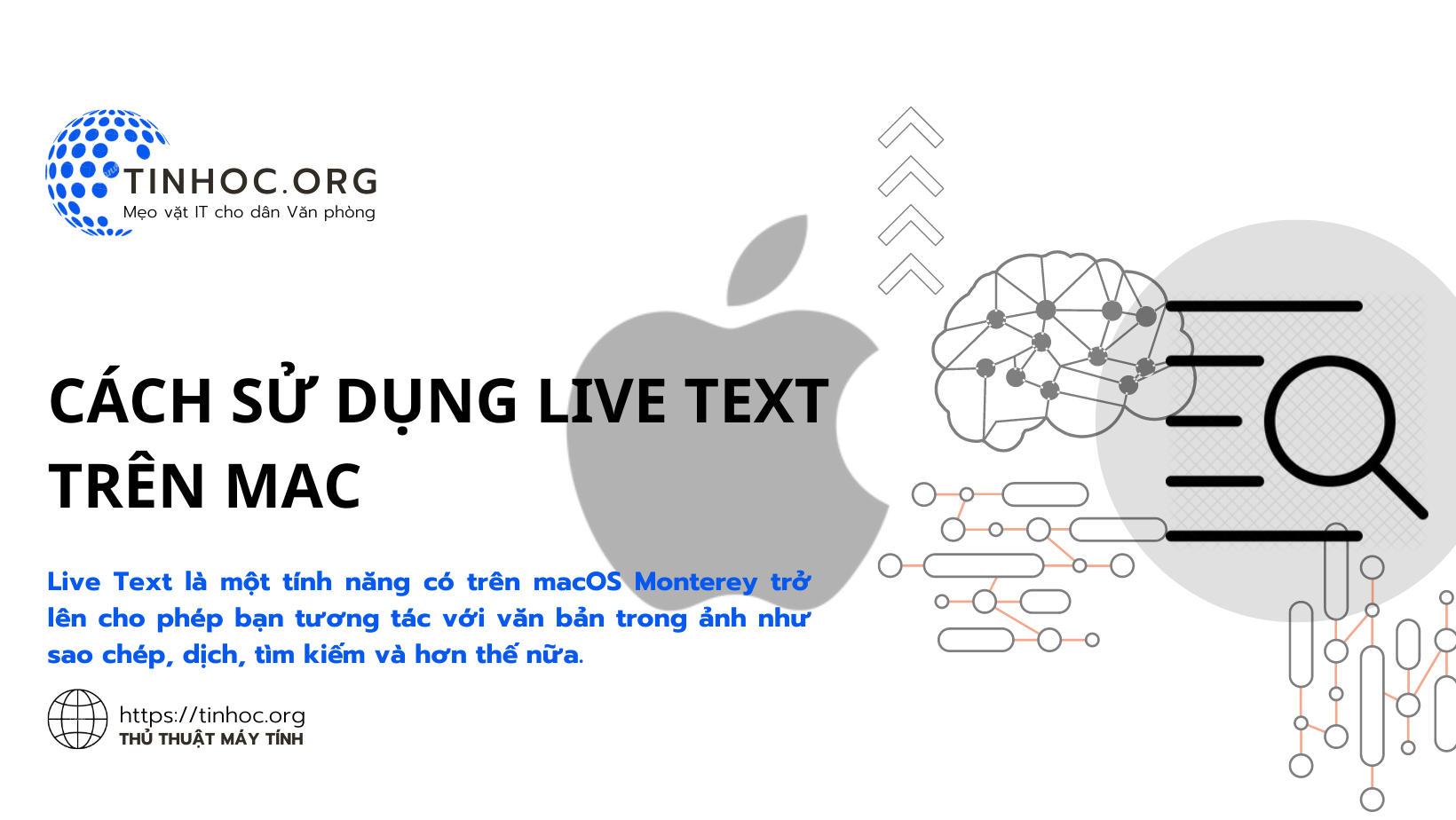 Live Text là một tính năng có trên macOS Monterey trở lên cho phép bạn tương tác với văn bản trong ảnh như sao chép, dịch, tìm kiếm và hơn thế nữa.