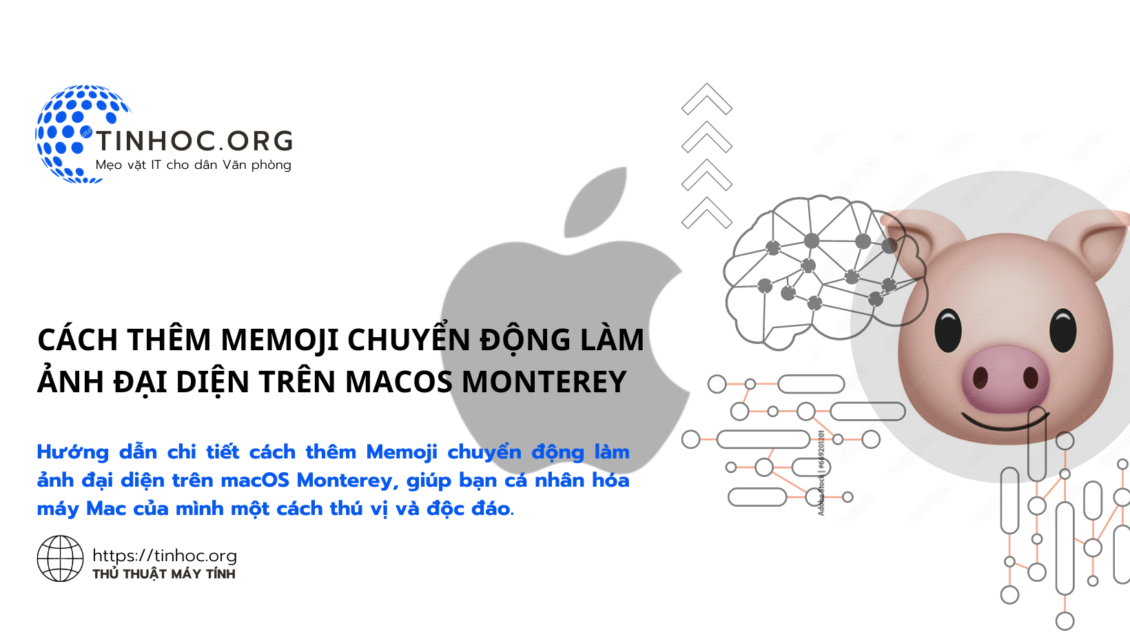 Cách thêm Memoji chuyển động làm ảnh đại diện trên macOS Monterey