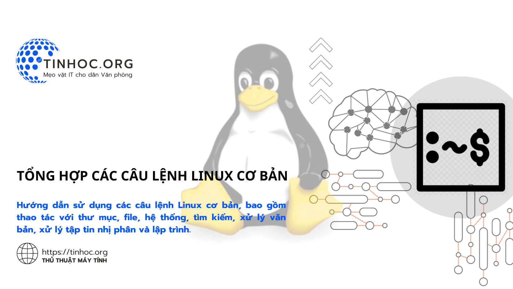 Hướng dẫn sử dụng các câu lệnh Linux cơ bản, bao gồm thao tác với thư mục, file, hệ thống, tìm kiếm, xử lý văn bản, xử lý tập tin nhị phân và lập trình.