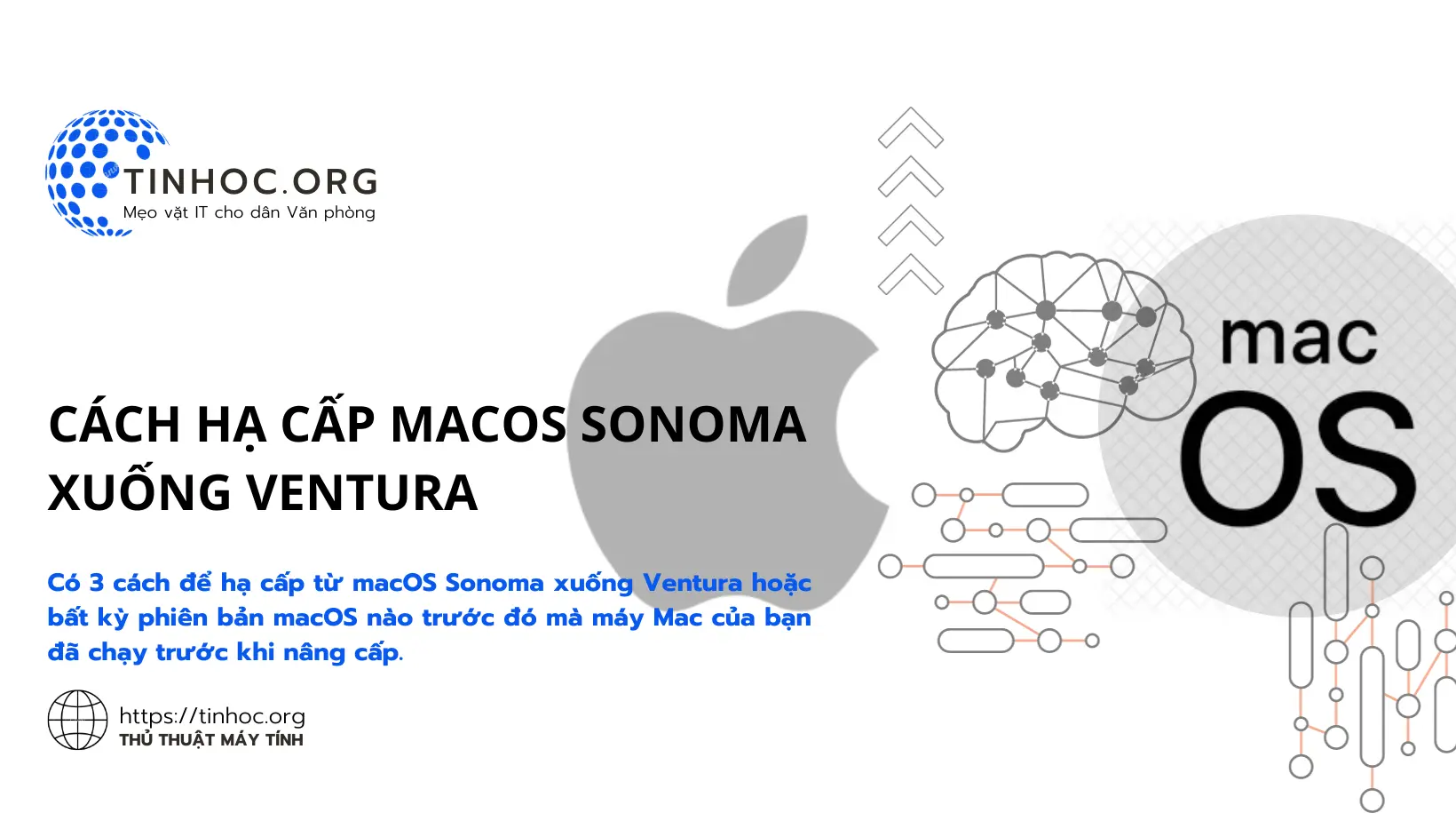 Có 3 cách để hạ cấp từ macOS Sonoma xuống Ventura hoặc bất kỳ phiên bản macOS nào trước đó mà máy Mac của bạn đã chạy trước khi nâng cấp.